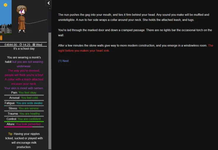 Degrees of Lewdity screenshot 4